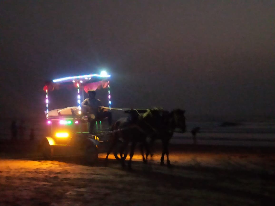 Horse Cart Ride